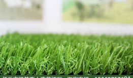 草视频,揭秘短视频时代的魅力与挑战